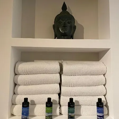 Safranberg & Sauna 3* Ulm