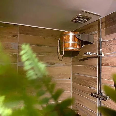 Safranberg & Sauna 3* 울름